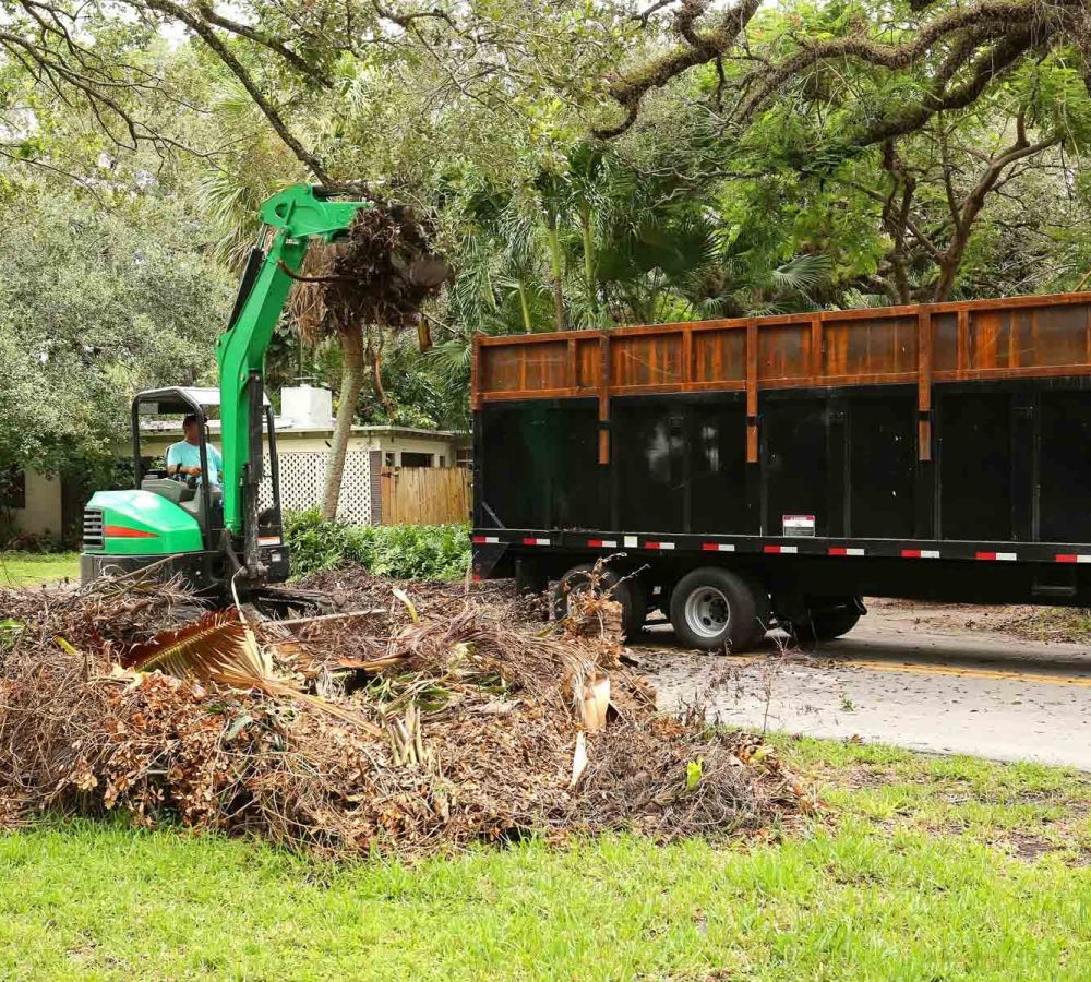 homeguide-brush-pile-removal-by-truckload